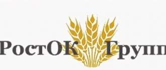 Обзор деятельности компании РостОК Групп