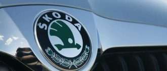 Выбор искушенного водителя: Skoda Kodiaq или Skoda SUPERB?